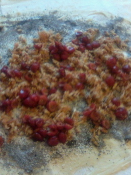 Domáca ťahaná štrúdľa s dvomi plnkami - obrázok 2