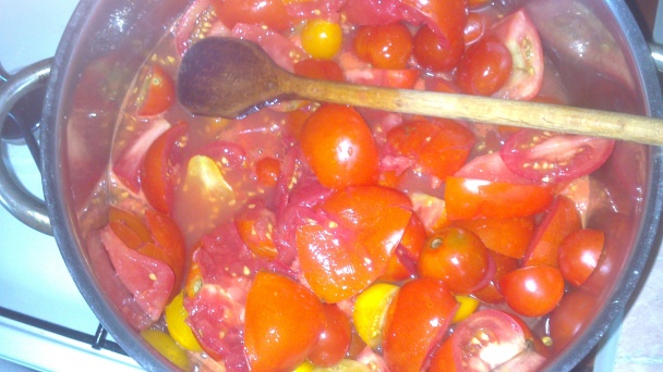 Domáci bio pretlak (fotorecept) - obrázok 1