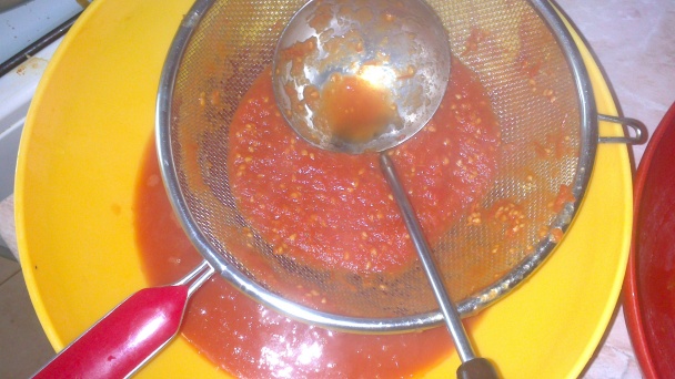 Domáci bio pretlak (fotorecept) - obrázok 3