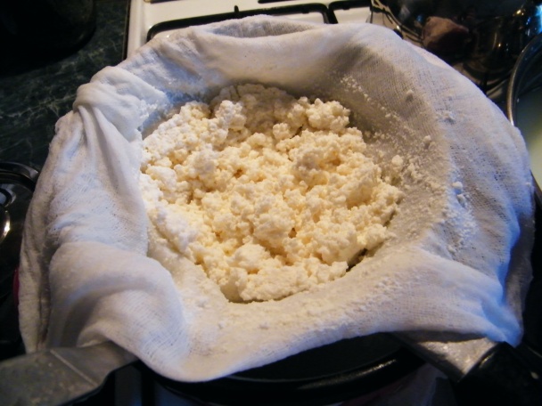 Domáci syr z kravského mlieka z automatu (fotorecept) - obrázok 8