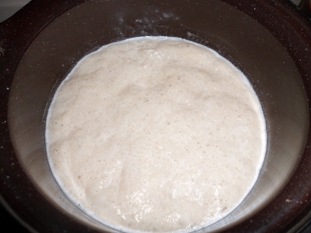 Malinovník (fotorecept) - obrázok 1