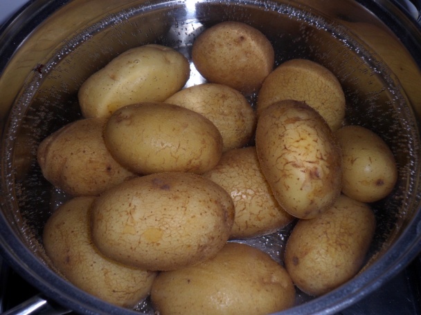 Pirohové lasagne (fotorecept) - obrázok 1