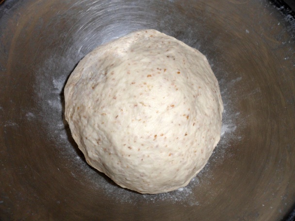 Rožok domáci (Rožkus Domesticus) (fotopostup) - obrázok 5