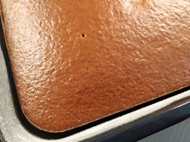 Družstevník (fotorecept) - obrázok 5