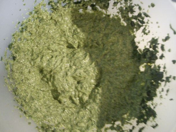 Špenátová roláda - obrázok 2