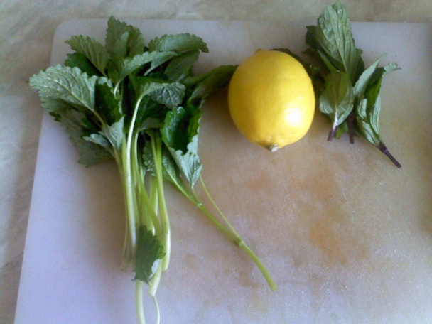 Letné osvieženie - obrázok 1