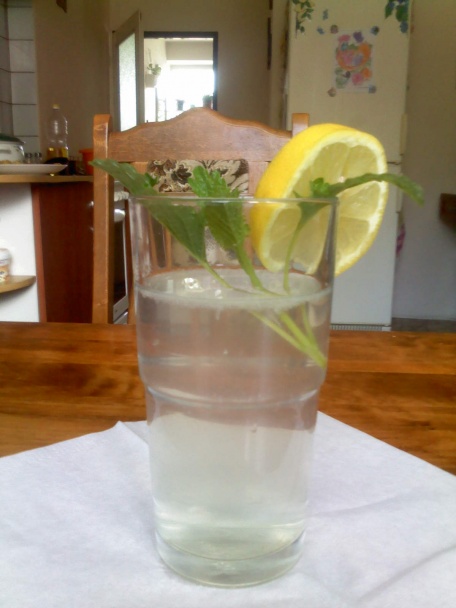 Letné osvieženie - obrázok 3