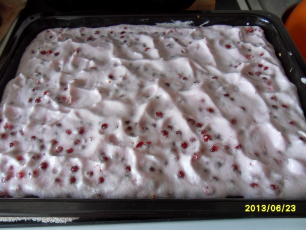 Ríbezľové svieže rezy - obrázok 4