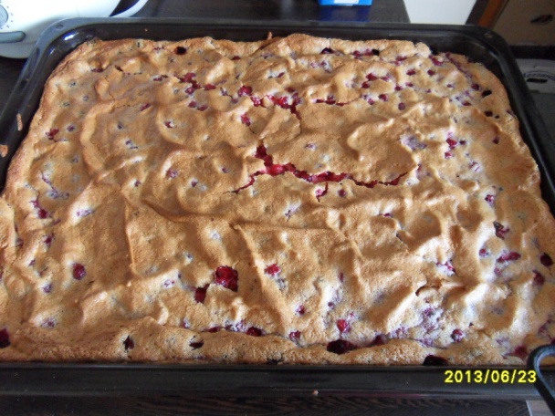 Ríbezľové svieže rezy - obrázok 5