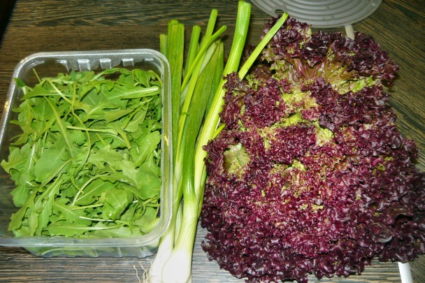 Lollo rosso  s rukolou a grilovanými kuracími prsiami (fotorecept) - obrázok 3