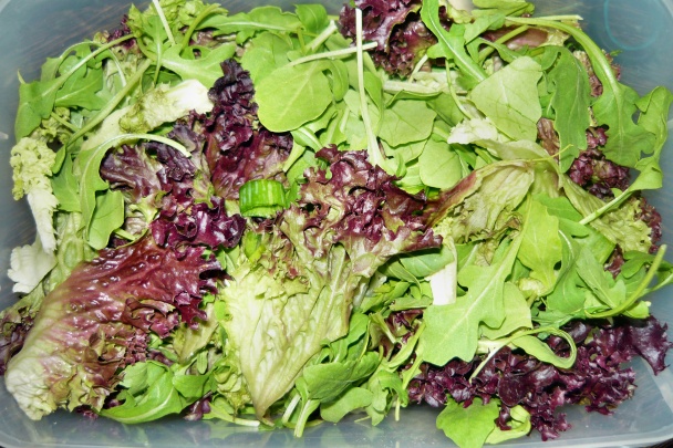 Lollo rosso  s rukolou a grilovanými kuracími prsiami (fotorecept) - obrázok 4