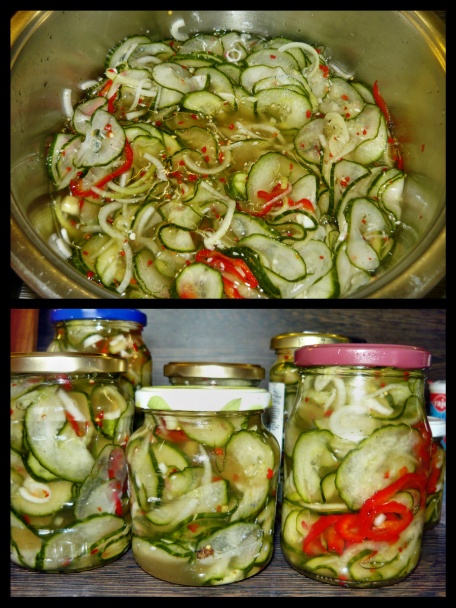 Čučoriedky pod snehom (fotorecept) - obrázok 4