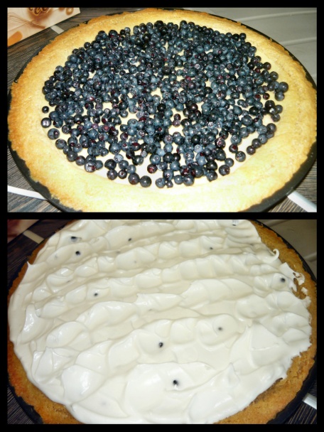 Čučoriedky pod snehom (fotorecept) - obrázok 5