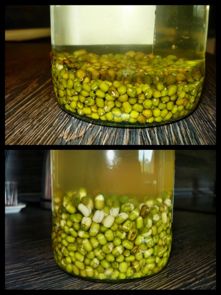 Opečená krkovička s mungo klíčkami a špenátom (fotorecept) - obrázok 1