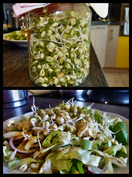 Opečená krkovička s mungo klíčkami a špenátom (fotorecept) - obrázok 2