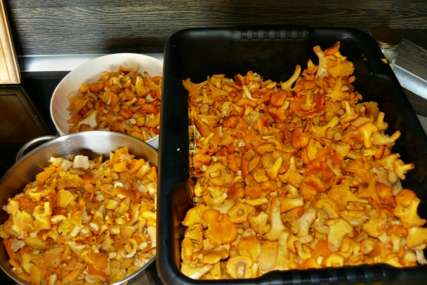 Nátierka z kuriatka jedlého (fotorecept) - obrázok 1