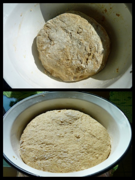 Kysnuté špaldové rožky s údeným syrom (fotorecept) - obrázok 2