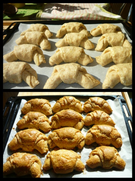 Kysnuté špaldové rožky s údeným syrom (fotorecept) - obrázok 7