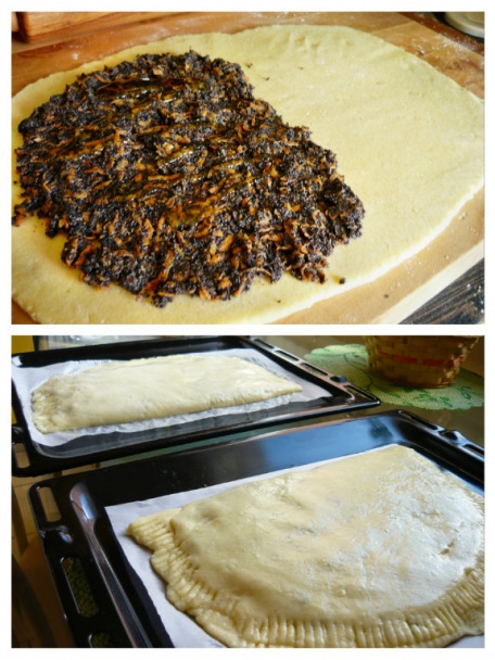 Zahýbance (fotorecept) - obrázok 4