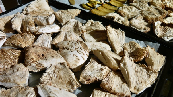 Zapekaná cukina so šošovicou a špenátom (fotorecept) - obrázok 5