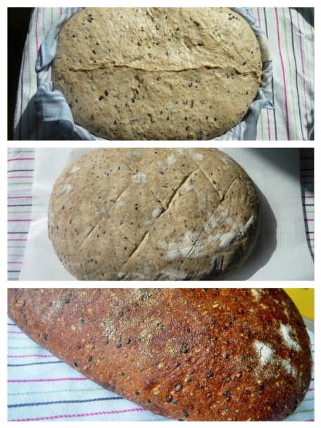 Habanero omáčka 2 (fotorecept) - obrázok 4