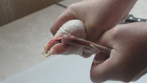 Ako vykostiť kuracie stehno (fotorecept) - obrázok 2