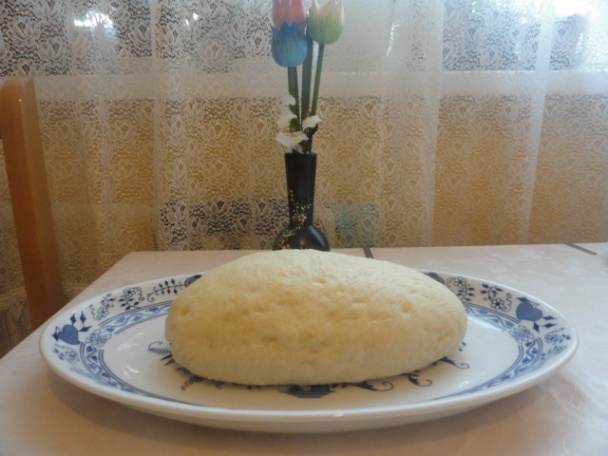 Kurací paprikáš a kysnuté parené knedle (fotorecept) - obrázok 10