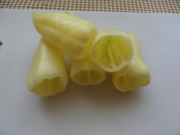 Paprika plnená kuracím mäsom (fotorecept) - obrázok 10