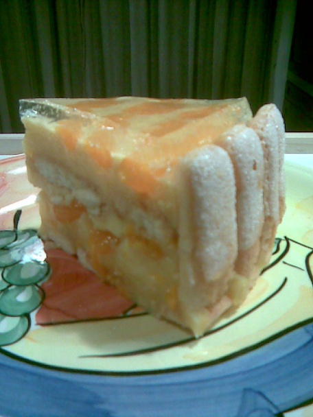 Nepečená pudingová torta (fotorecept) - obrázok 14