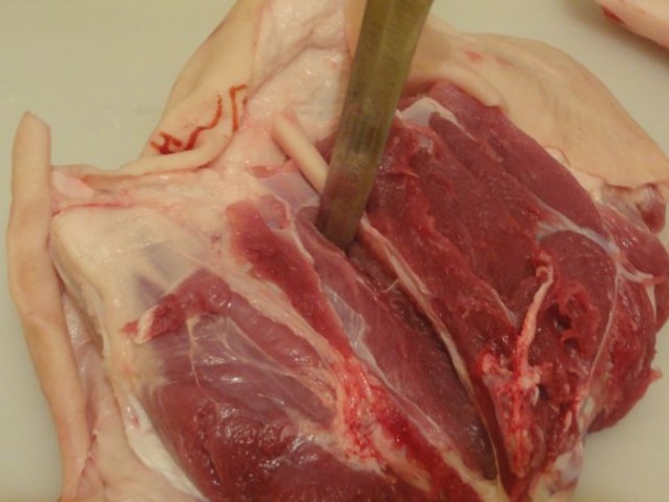 Varené paprikové kolienko (fotorecept) - obrázok 8