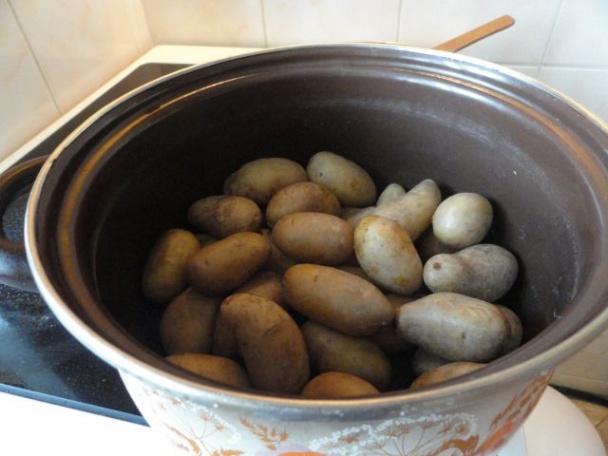 Varené paprikové kolienko (fotorecept) - obrázok 15