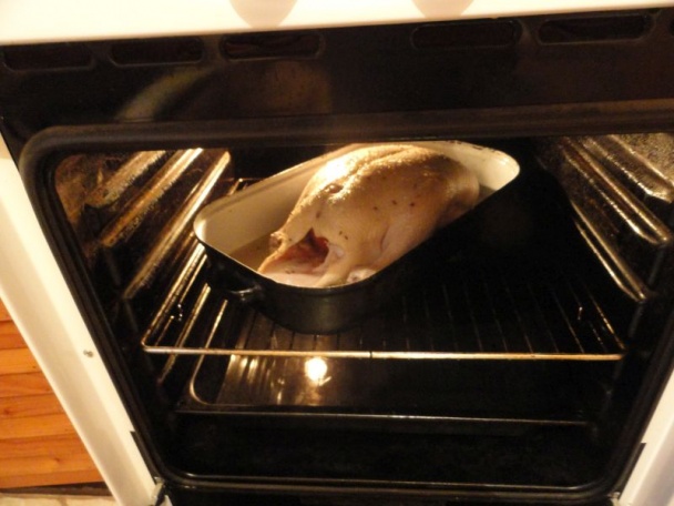 Kačka pečená pomalým tempom (fotorecept) - obrázok 1