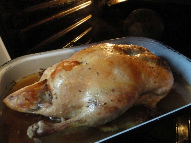 Kačka pečená pomalým tempom (fotorecept) - obrázok 3