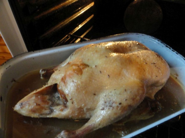 Kačka pečená pomalým tempom (fotorecept) - obrázok 2