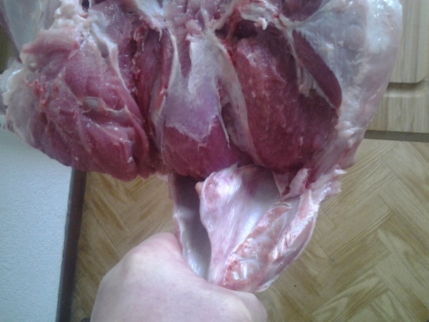 Bravčové pliecko vo vlastnej šťave (fotorecept) - obrázok 20