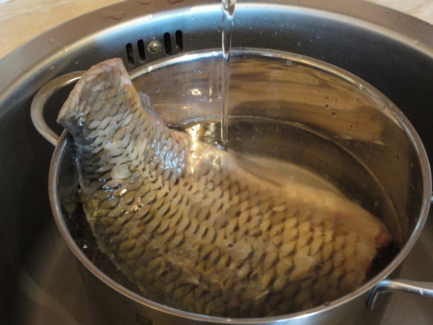 Rybacia polievka (fotorecept) - obrázok 1