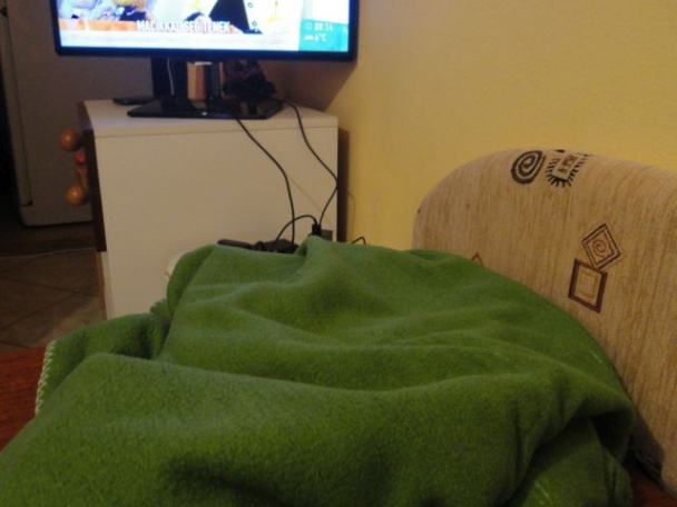 Dusená kačka s knedľou a kapustou (fotorecept) - obrázok 9