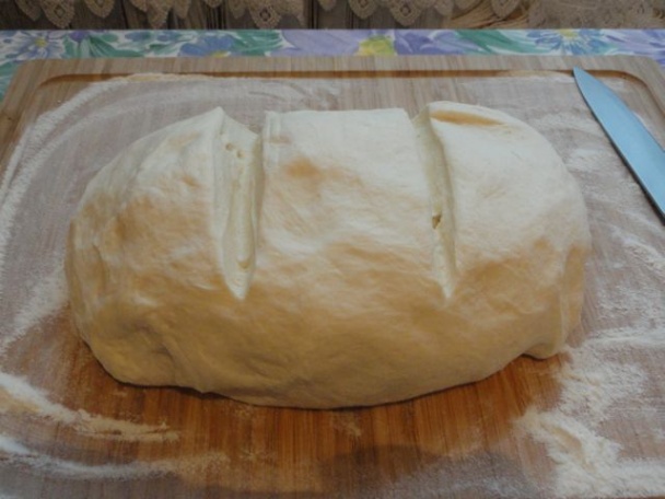 Dusená kačka s knedľou a kapustou (fotorecept) - obrázok 11