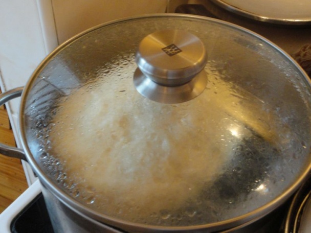 Dusená kačka s knedľou a kapustou (fotorecept) - obrázok 15