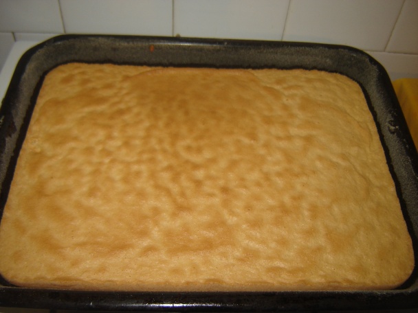 BE-BE rezy (fotorecept) - obrázok 2