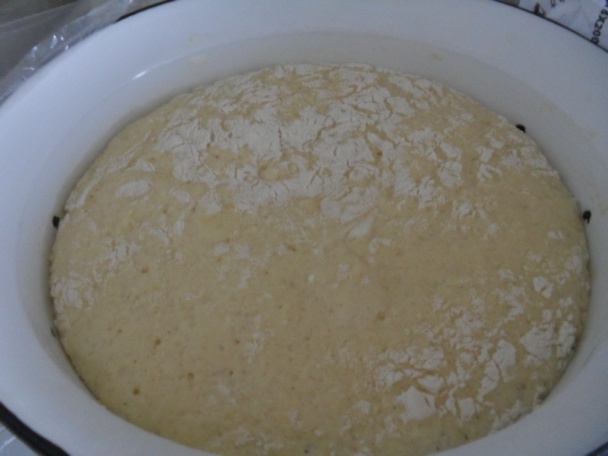 Kysnutý slivkový koláč s rebarborou (fotorecept) - obrázok 1