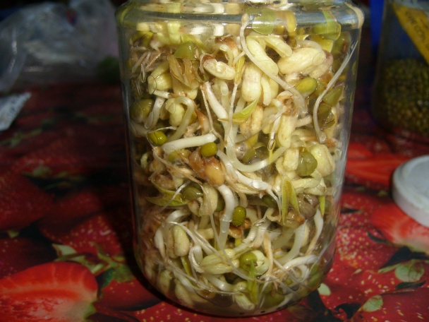 Zeleninový šalát s granátovým jablkom a naklíčenou mungo fazuľou - obrázok 3