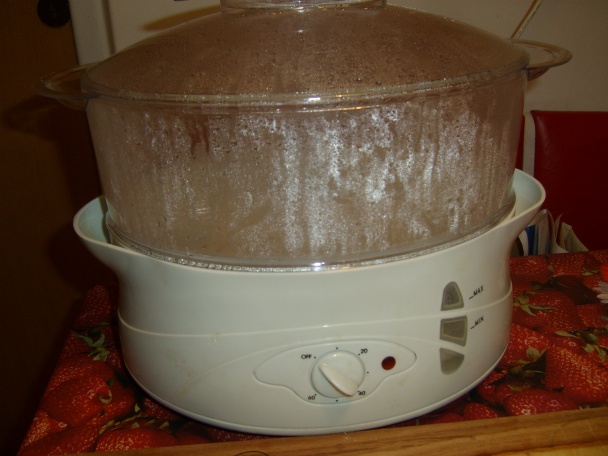 Segedínsky guláš s domácou kysnutou knedľou - obrázok 5