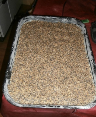 Jablkovo-makový koláčik (fotorecept) - obrázok 8