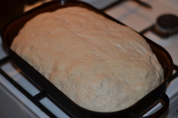 Domáci chlieb v rúre-zemiakový (chrumkavá kôrka) - obrázok 2