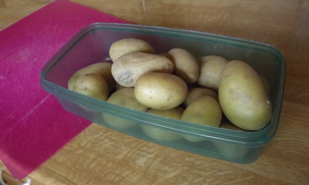 Kura na zemiakoch (fotorecept) - obrázok 4