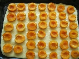 Báleš - obrázok 6