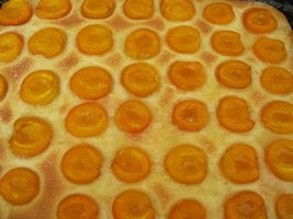 Báleš - obrázok 7