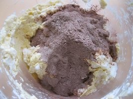 Tmavé rezy (fotorecept) - obrázok 4