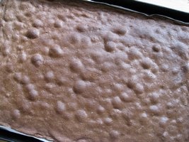 Tmavé rezy (fotorecept) - obrázok 6